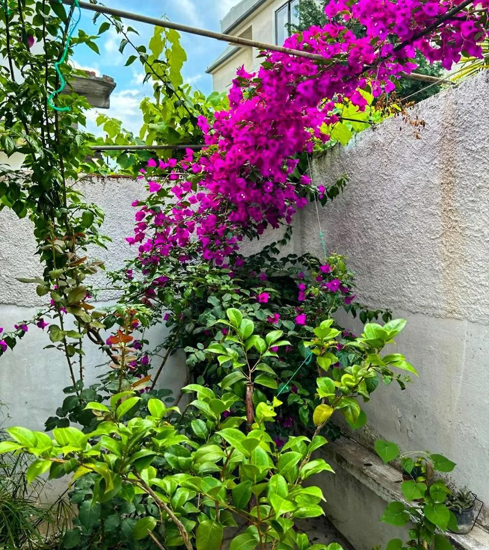 Garden One Bedroom Apartment Tirana